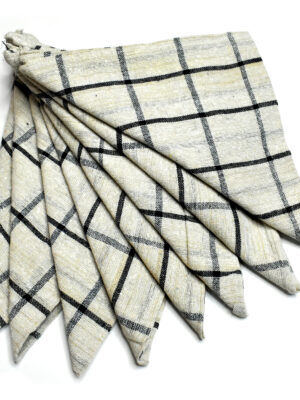 Hastamudra Pure Cotton 8 Piece Check Style Multipurpose Kitchen & Cleaning Cloth | 100% Cotton | 21 x 21 Inches | 400 Gram Easy Clean Quick Dry 180 GSM Designer Napkin