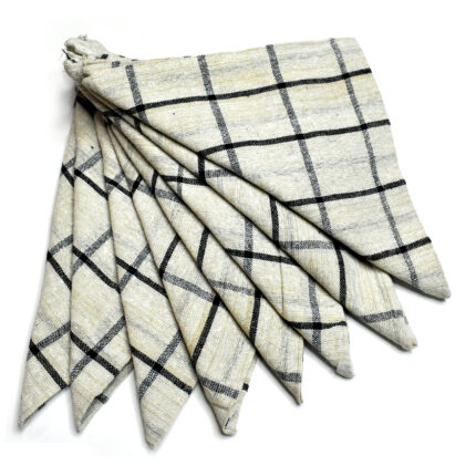 Hastamudra Pure Cotton 8 Piece Check Style Multipurpose Kitchen & Cleaning Cloth | 100% Cotton | 21 x 21 Inches | 400 Gram Easy Clean Quick Dry 180 GSM Designer Napkin